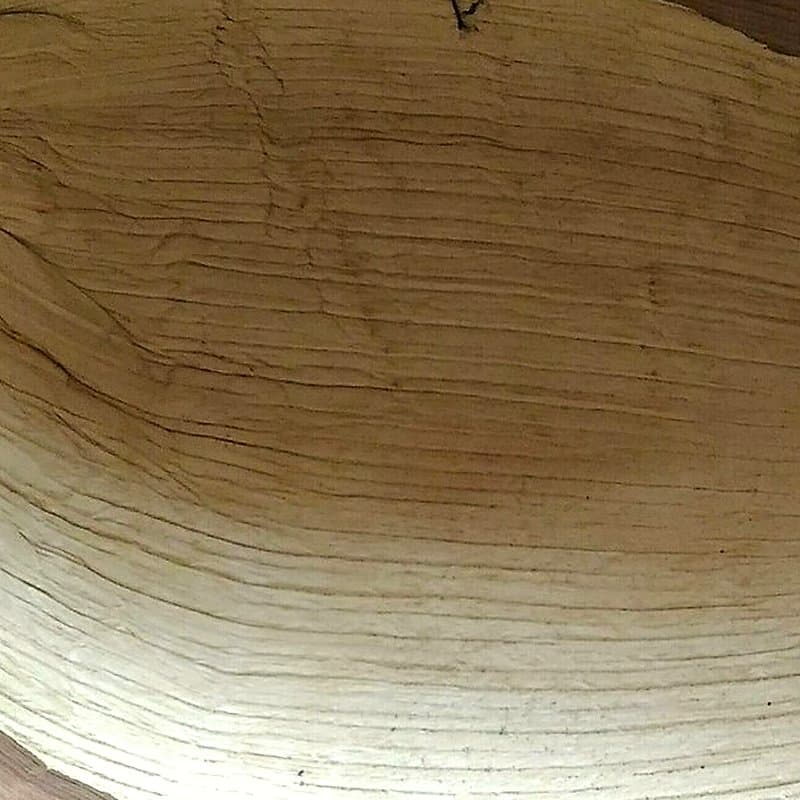 Close view of dried areca palm sheath showing its natural fibrous grain, the raw material for areca leaf plates