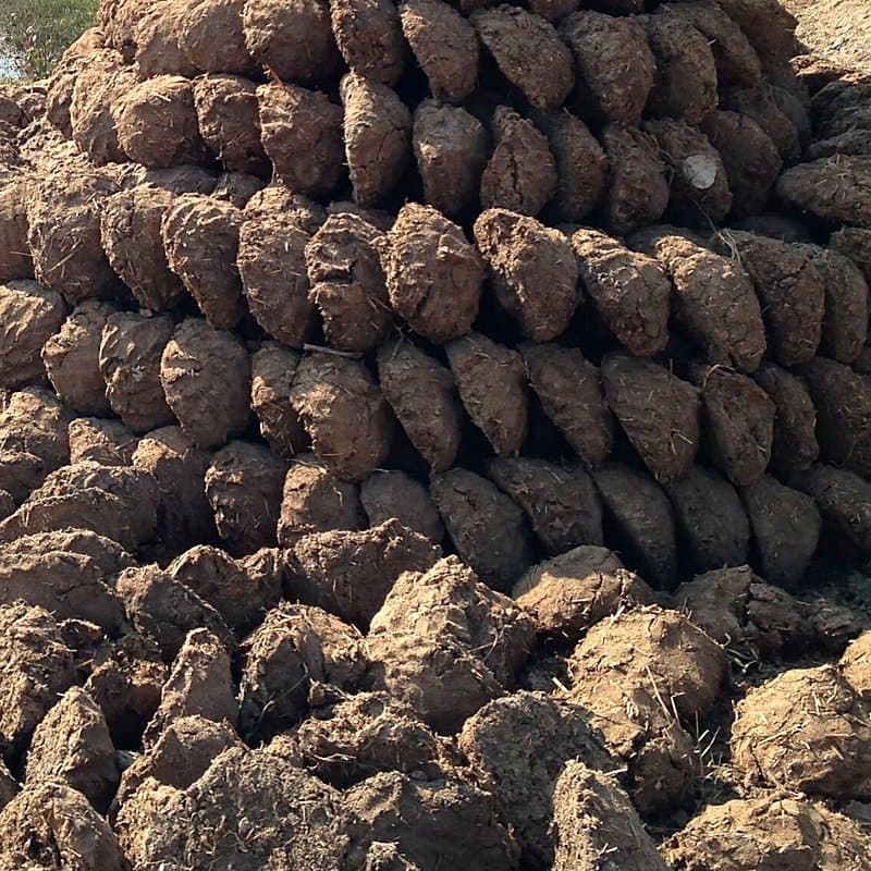Pile of cow dung cakes, the same material extruded into logs