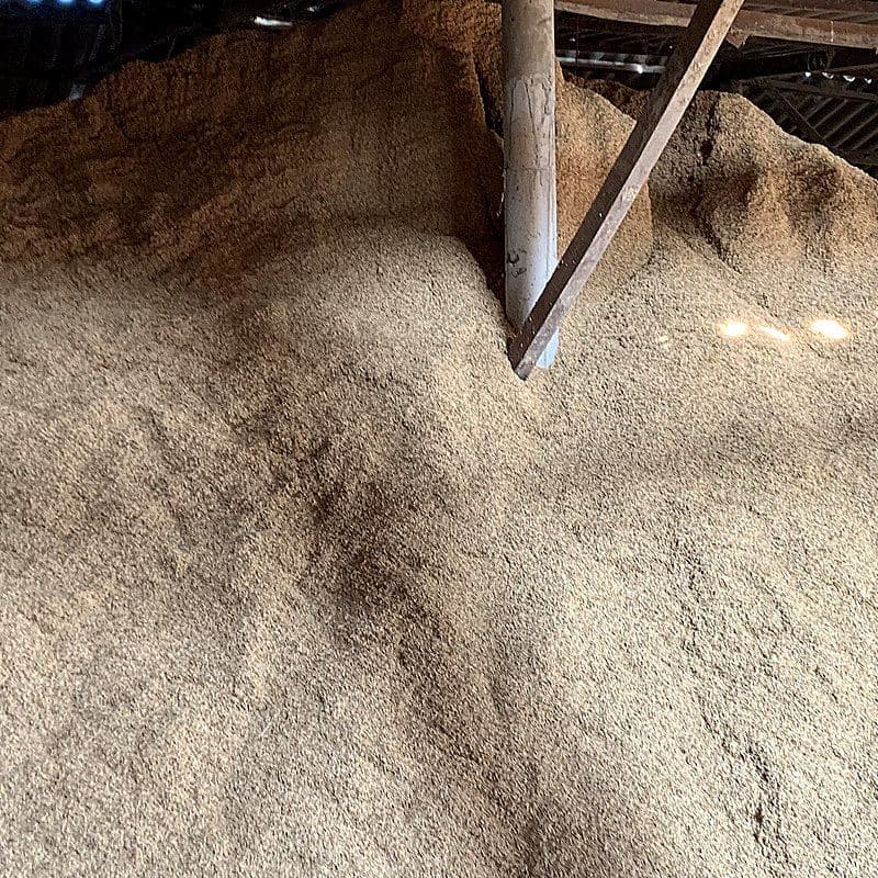 Heap of rice husk