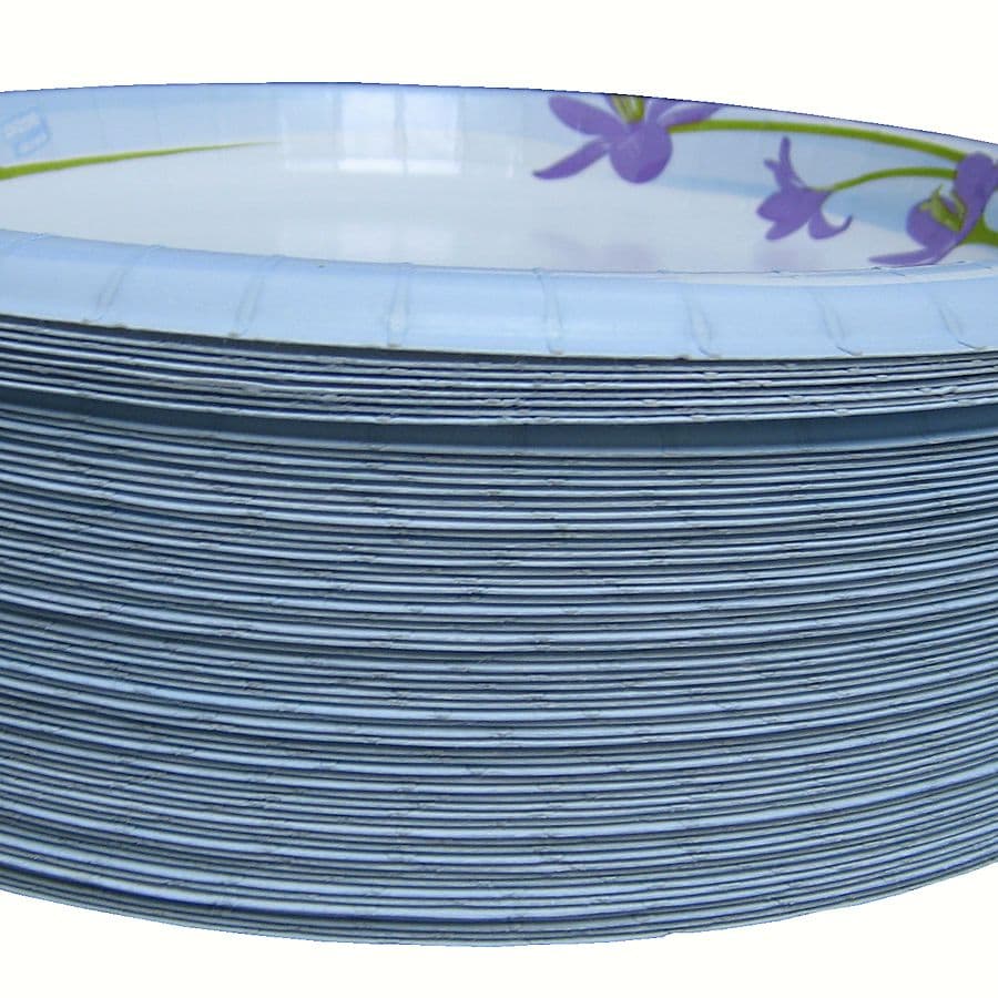 Stack of paper plates with a printed floral border