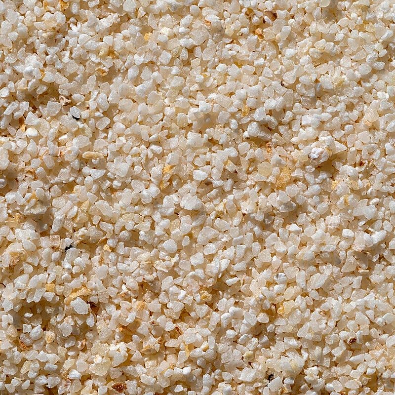 Close view of coarse semolina sooji grains