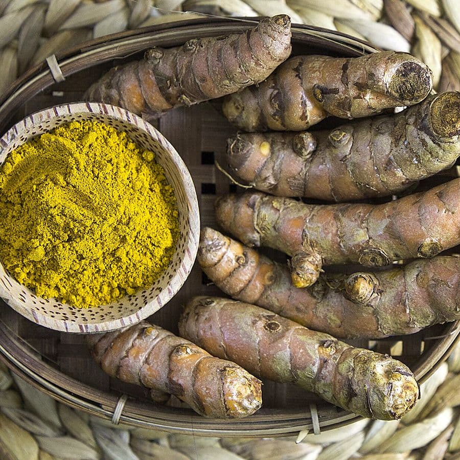 Whole dried turmeric fingers beside ground turmeric