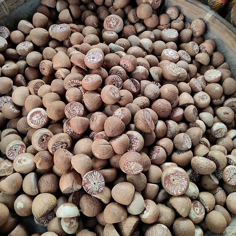 Basket of dried, husked whole areca nuts, some showing the marbled inside